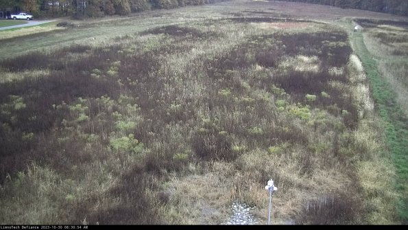 Cell 1_23-10-30_08-30-54-77