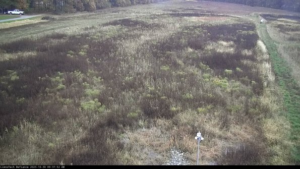 Cell 1_23-10-30_09-37-52-76