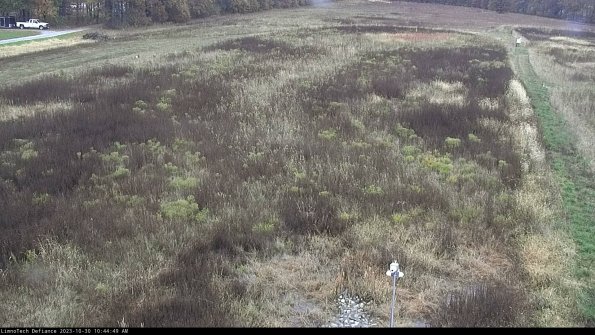 Cell 1_23-10-30_10-44-49-76