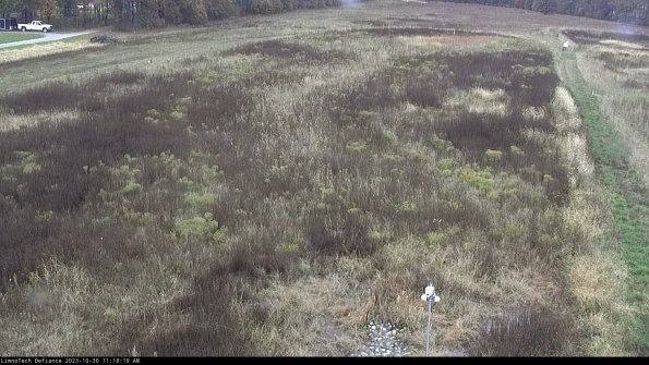 Cell 1_23-10-30_11-18-19-77