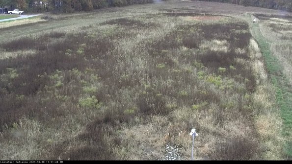 Cell 1_23-10-30_11-51-48-79