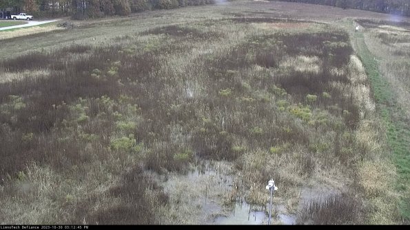 Cell 1_23-10-30_15-12-45-75