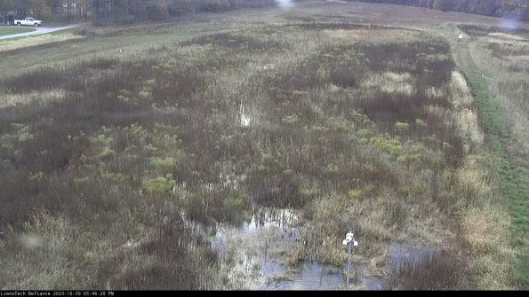 Cell 1_23-10-30_15-46-20-81