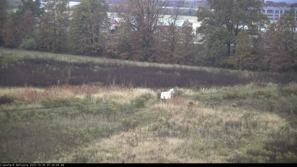 Cell 2 to 3_23-10-30_07-58-04-96