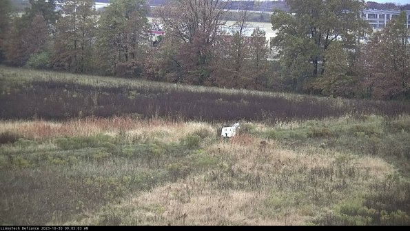 Cell 2 to 3_23-10-30_09-05-03-99