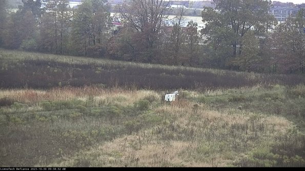 Cell 2 to 3_23-10-30_09-38-32-94