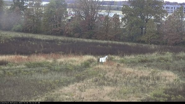 Cell 2 to 3_23-10-30_10-12-01-78