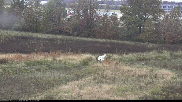 Cell 2 to 3_23-10-30_10-45-29-96