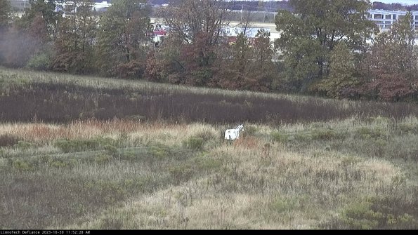 Cell 2 to 3_23-10-30_11-52-28-93