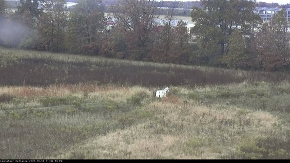 Cell 2 to 3_23-10-30_13-32-56-98