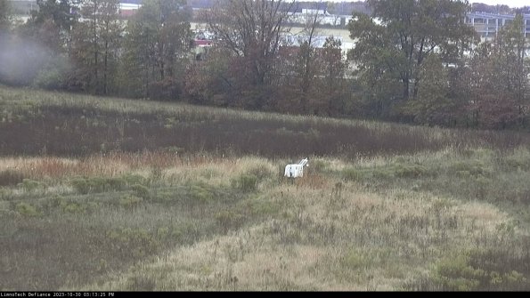 Cell 2 to 3_23-10-30_15-13-25-89