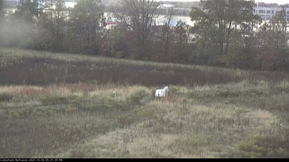 Cell 2 to 3_23-10-30_17-27-29-93