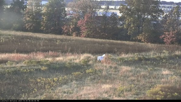 Cell 2 to 3_23-10-30_18-00-58-85