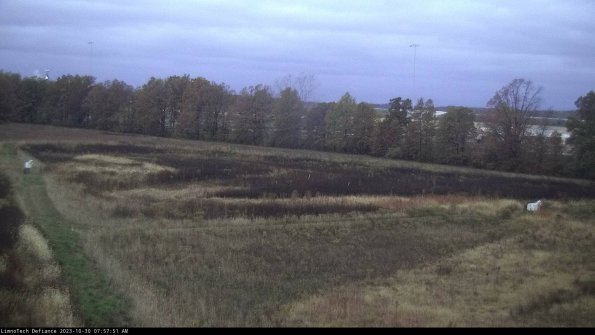 Cell 2_23-10-30_07-57-51-78