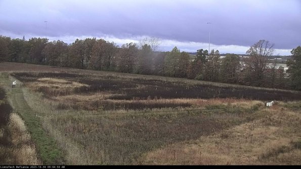 Cell 2_23-10-30_09-04-50-88