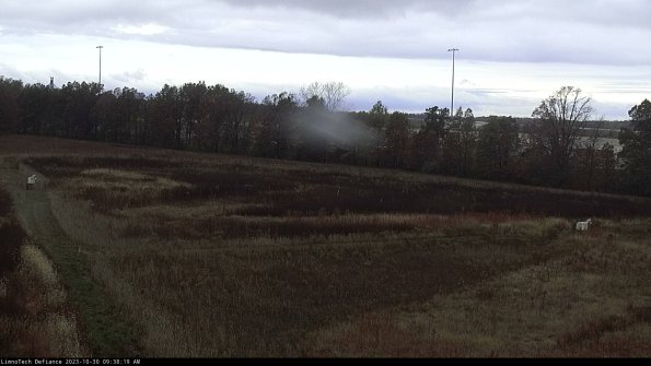 Cell 2_23-10-30_09-38-19-79