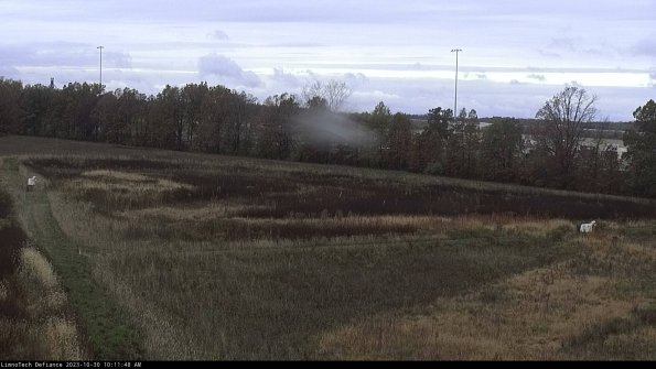 Cell 2_23-10-30_10-11-48-77