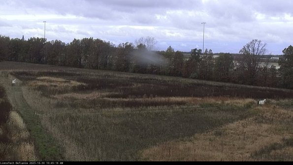 Cell 2_23-10-30_10-45-16-82