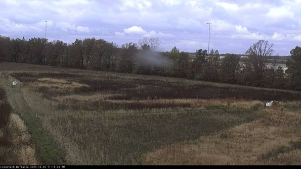 Cell 2_23-10-30_11-18-46-80