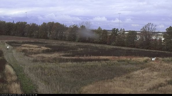 Cell 2_23-10-30_11-52-15-81