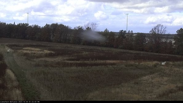 Cell 2_23-10-30_13-32-43-83