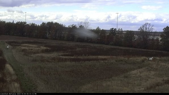 Cell 2_23-10-30_15-13-12-78