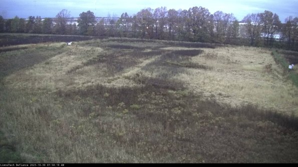 Cell 3_23-10-30_07-58-19-78