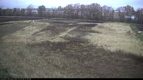 Cell 3_23-10-30_08-31-49-02