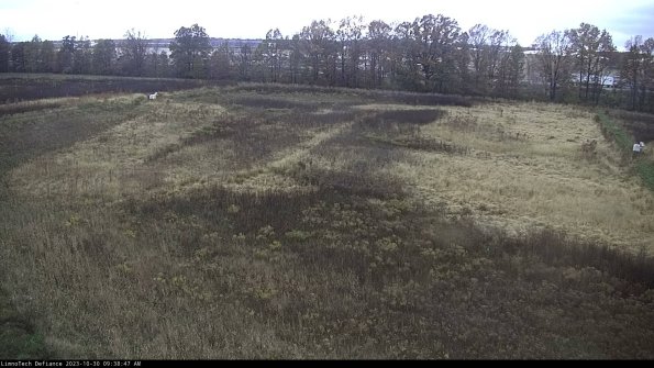 Cell 3_23-10-30_09-38-47-78