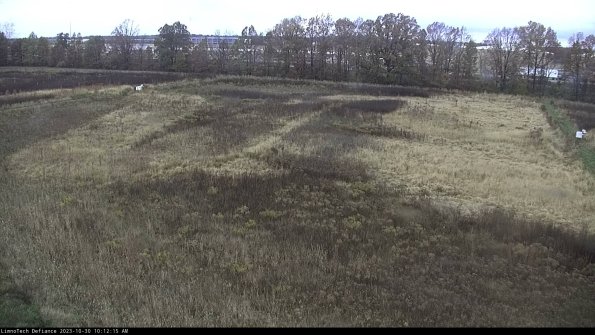 Cell 3_23-10-30_10-12-15-96