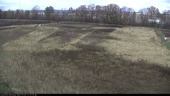 Cell 3_23-10-30_11-19-14-76