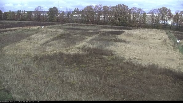 Cell 3_23-10-30_11-52-43-78