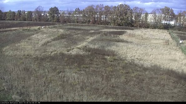 Cell 3_23-10-30_14-06-41-77