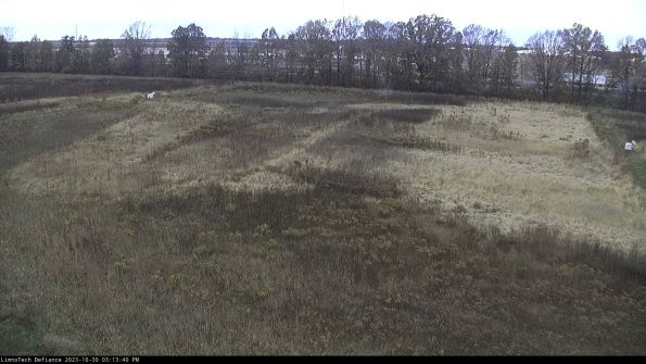 Cell 3_23-10-30_15-13-40-81