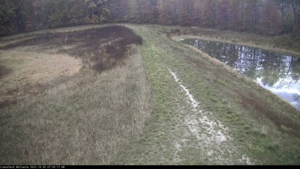 Cell 4 to Basin_23-10-30_07-59-17-80