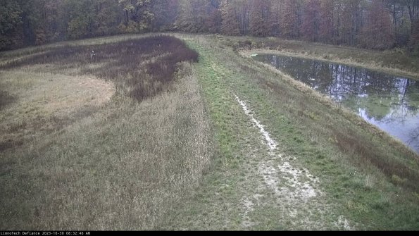 Cell 4 to Basin_23-10-30_08-32-46-78