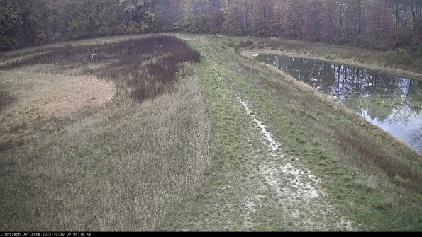 Cell 4 to Basin_23-10-30_09-06-16-76