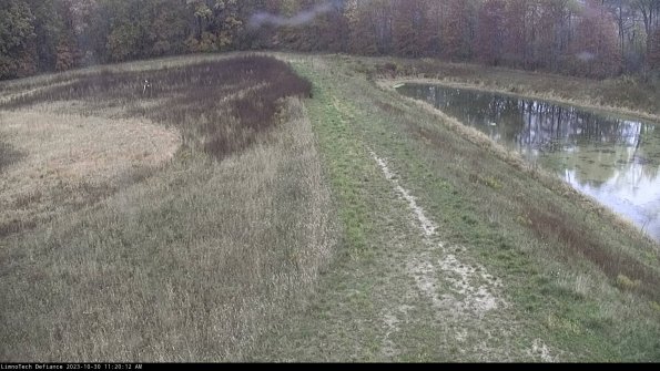 Cell 4 to Basin_23-10-30_11-20-12-75