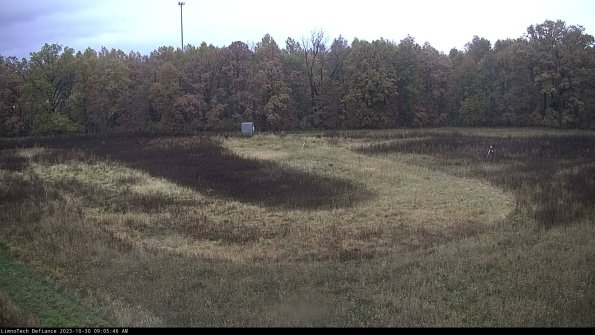 Cell 4_23-10-30_09-05-46-80