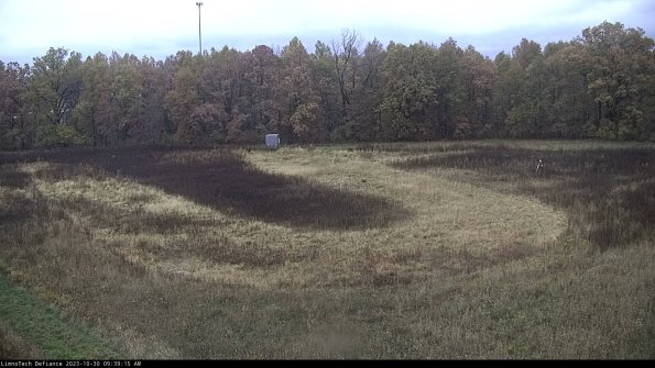 Cell 4_23-10-30_09-39-15-78