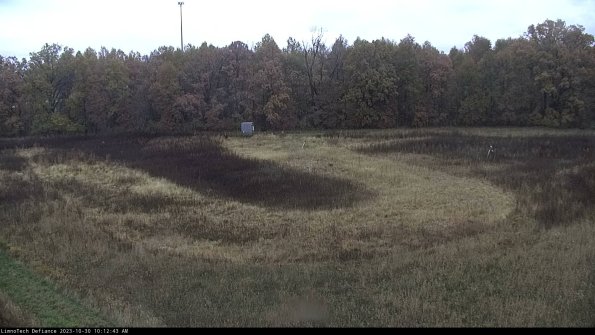 Cell 4_23-10-30_10-12-43-76