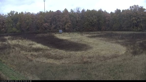 Cell 4_23-10-30_10-46-12-77