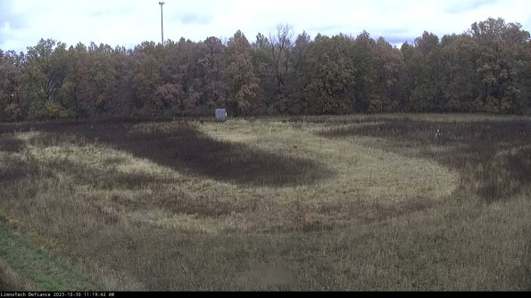 Cell 4_23-10-30_11-19-42-76