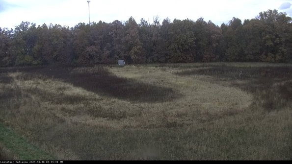 Cell 4_23-10-30_13-33-39-79