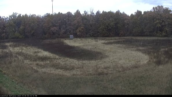 Cell 4_23-10-30_15-14-10-84