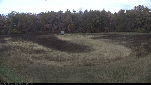 Cell 4_23-10-30_15-27-34-81