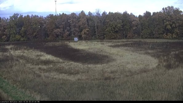 Cell 4_23-10-30_15-47-43-79