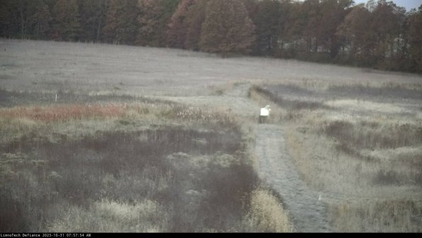 Cell 1 to 2_23-10-31_07-57-54-77