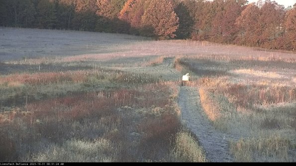 Cell 1 to 2_23-10-31_08-31-24-78