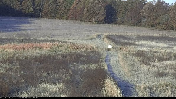 Cell 1 to 2_23-10-31_09-04-53-79